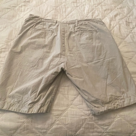 The Griffin - Picture 2 of 2